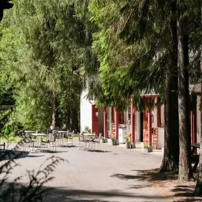 Le restaurant sous les grands arbres