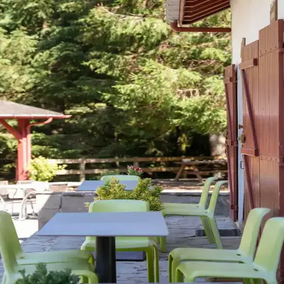 Terrasse ombragée, chaises vertes