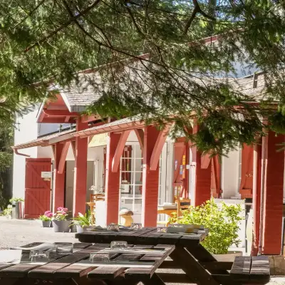 Terrasse du restaurant sous les arbres