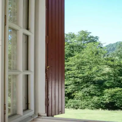 Vue depuis la fenêtre sur la forêt et les collines